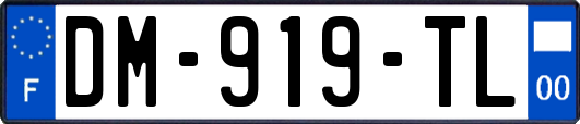 DM-919-TL