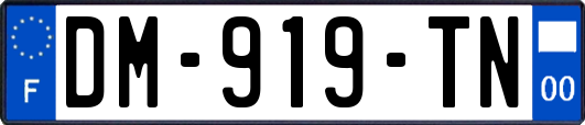 DM-919-TN