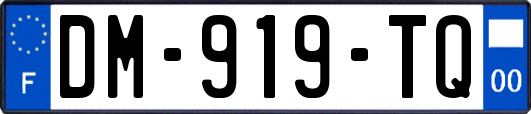DM-919-TQ