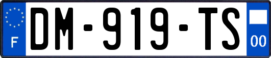 DM-919-TS