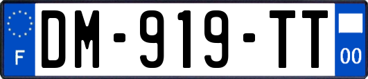 DM-919-TT