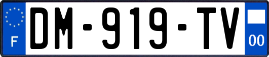 DM-919-TV