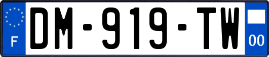 DM-919-TW
