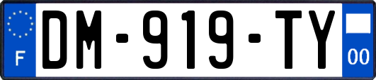 DM-919-TY