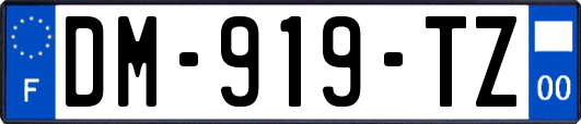 DM-919-TZ