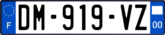 DM-919-VZ