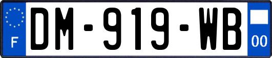 DM-919-WB