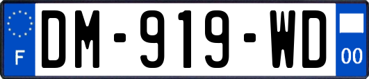 DM-919-WD