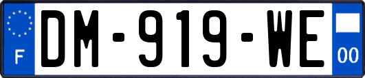 DM-919-WE