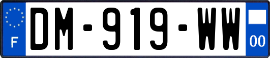 DM-919-WW