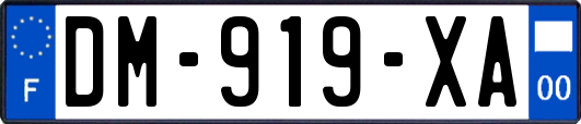 DM-919-XA
