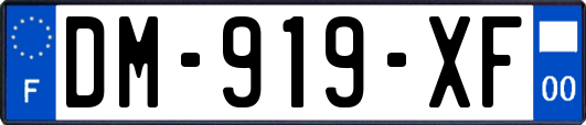 DM-919-XF