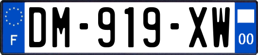 DM-919-XW