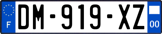 DM-919-XZ