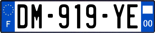 DM-919-YE