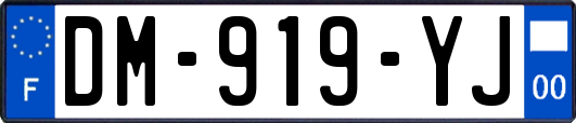 DM-919-YJ