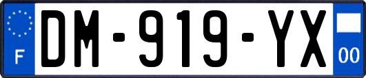 DM-919-YX