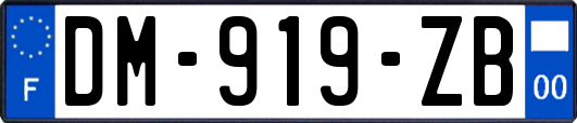 DM-919-ZB