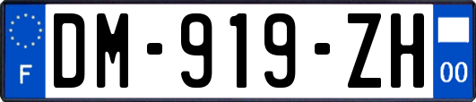 DM-919-ZH