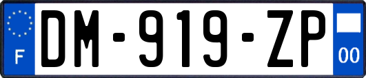 DM-919-ZP