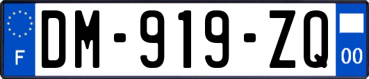 DM-919-ZQ