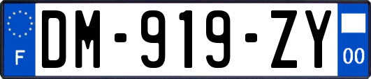 DM-919-ZY