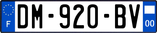 DM-920-BV