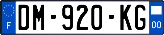 DM-920-KG