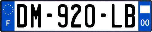 DM-920-LB