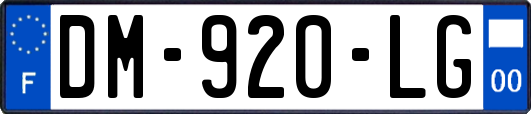 DM-920-LG