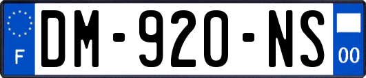 DM-920-NS