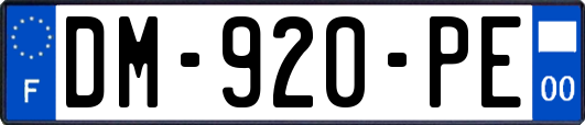 DM-920-PE