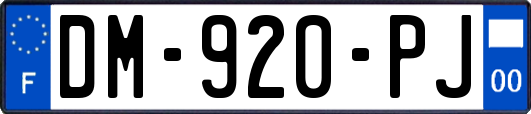 DM-920-PJ