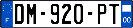 DM-920-PT