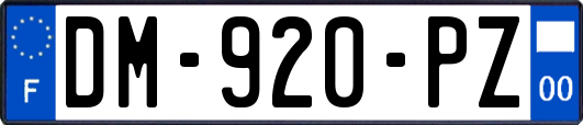 DM-920-PZ