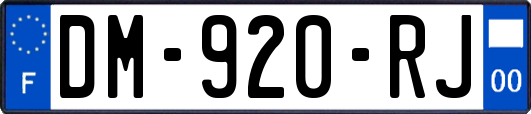 DM-920-RJ