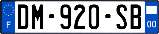 DM-920-SB