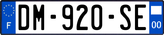 DM-920-SE