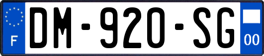 DM-920-SG