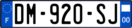 DM-920-SJ