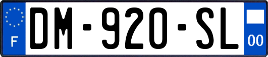 DM-920-SL
