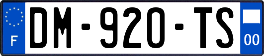 DM-920-TS