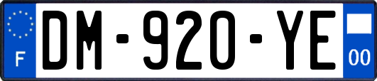 DM-920-YE