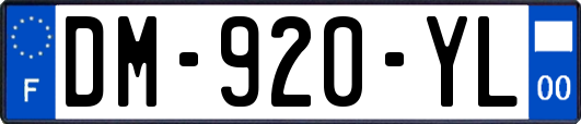 DM-920-YL