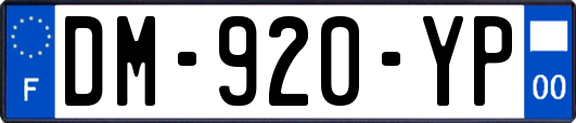 DM-920-YP