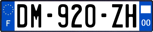 DM-920-ZH