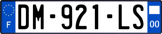 DM-921-LS