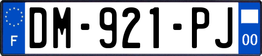 DM-921-PJ