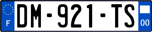 DM-921-TS