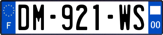 DM-921-WS